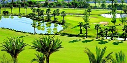 GOLF LAS AMERICAS - TENERIFE