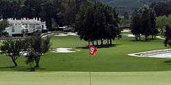 MIJAS GOLF - OLIVOS